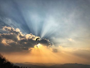 Low angle view of silhouette flying against sky during sunset