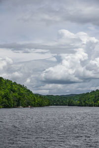 Scenic view of sea and trees against sky