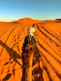 Rear view of man with camel walking in dessert against clear sky during sunset