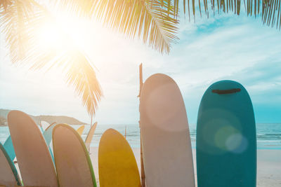 Many surfboards for rent at summer beach with sunlight blue sky background.