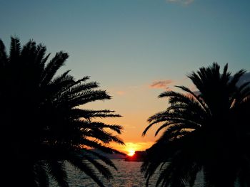 Silhouette palm trees at sunset