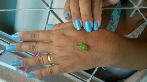 High angle view of green insect on woman hand by window