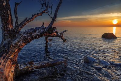 Close-up of sea against sky during sunset