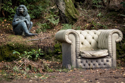 Statue sitting in forest