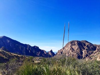 Scenic landscape from texas