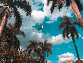 Low angle view of flag amidst palm trees against cloudy sky