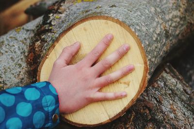 Cropped hand of woman touching log