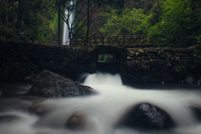 Scenic view of waterfall in forest