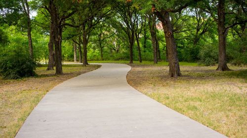 Empty road along trees