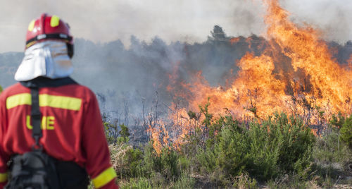 Rear view of firefighter standing against fire on field