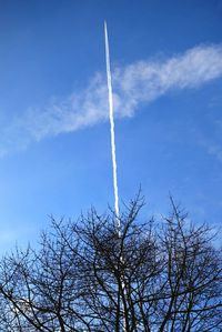 Low angle view of bare trees against blue sky