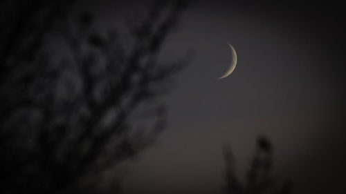 Moon in sky at night