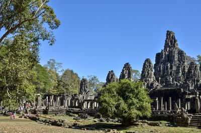 Trees in a temple