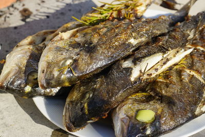 High angle view of fish on plate
