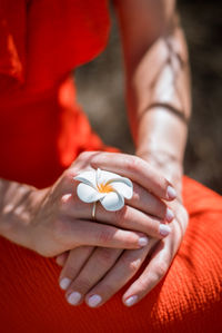 Midsection of young woman holding flower