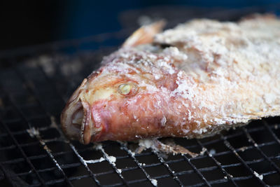 Close up salt-crusted grilled fish