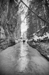 Rear view of people walking on footpath by road