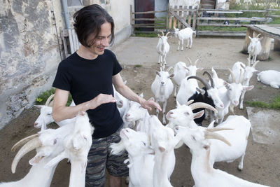 Germany, pommritz, man stroking goats at organic farm
