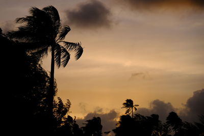 Low angle view of silhouette trees against sky during sunset