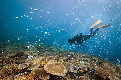 Man swimming in sea