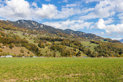 Scenic view of field against sky