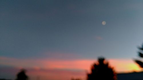 Silhouette of trees at sunset