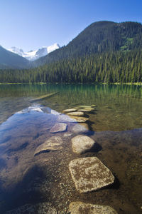 Scenic view of lake and mountains