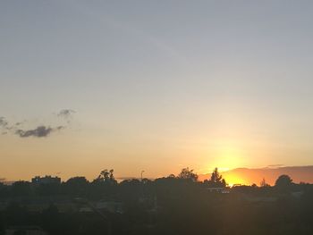 Silhouette trees against sky during sunset