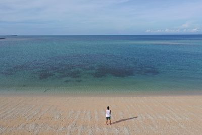 Rear view of man standing at beach against sky