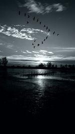 Birds flying over beach against sky