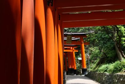 orange color