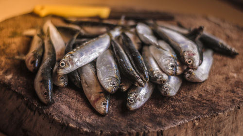 Close-up of fresh fish