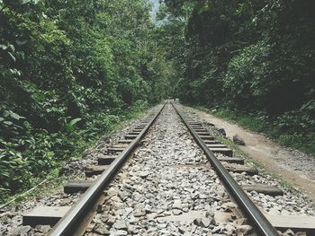 View of railroad tracks along trees