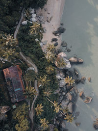 Aerial view of beach