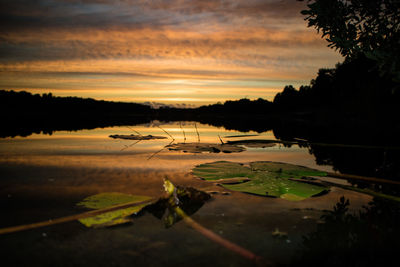 Scenic view of lake at sunset