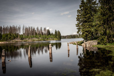 Scenic view of lake by trees against sky