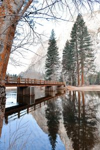 Reflection of trees in lake against sky during winter