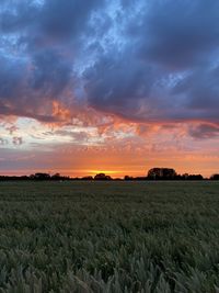 Scenic view of field against sky during sunset