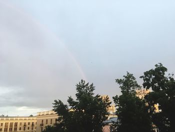 Low angle view of trees and rainbow against sky