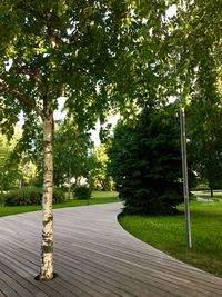 Empty walkway in park