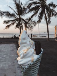 Ice cream cone on palm tree