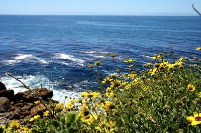 Scenic view of sea against clear sky