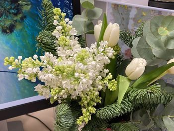 Close-up of white flowering plant