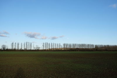 Scenic view of field against clear sky