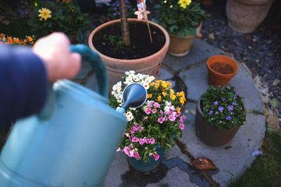 Cropped hand watering flowers in yard