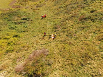 High angle view of people walking on land