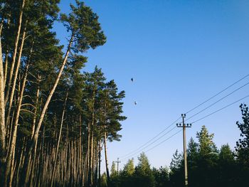 Low angle view of trees against blue sky