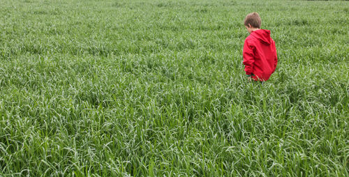 Young man in red in a green meadow