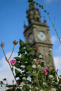 Low angle view of pink flowers against sky