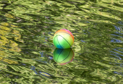 High angle view of ball floating on water